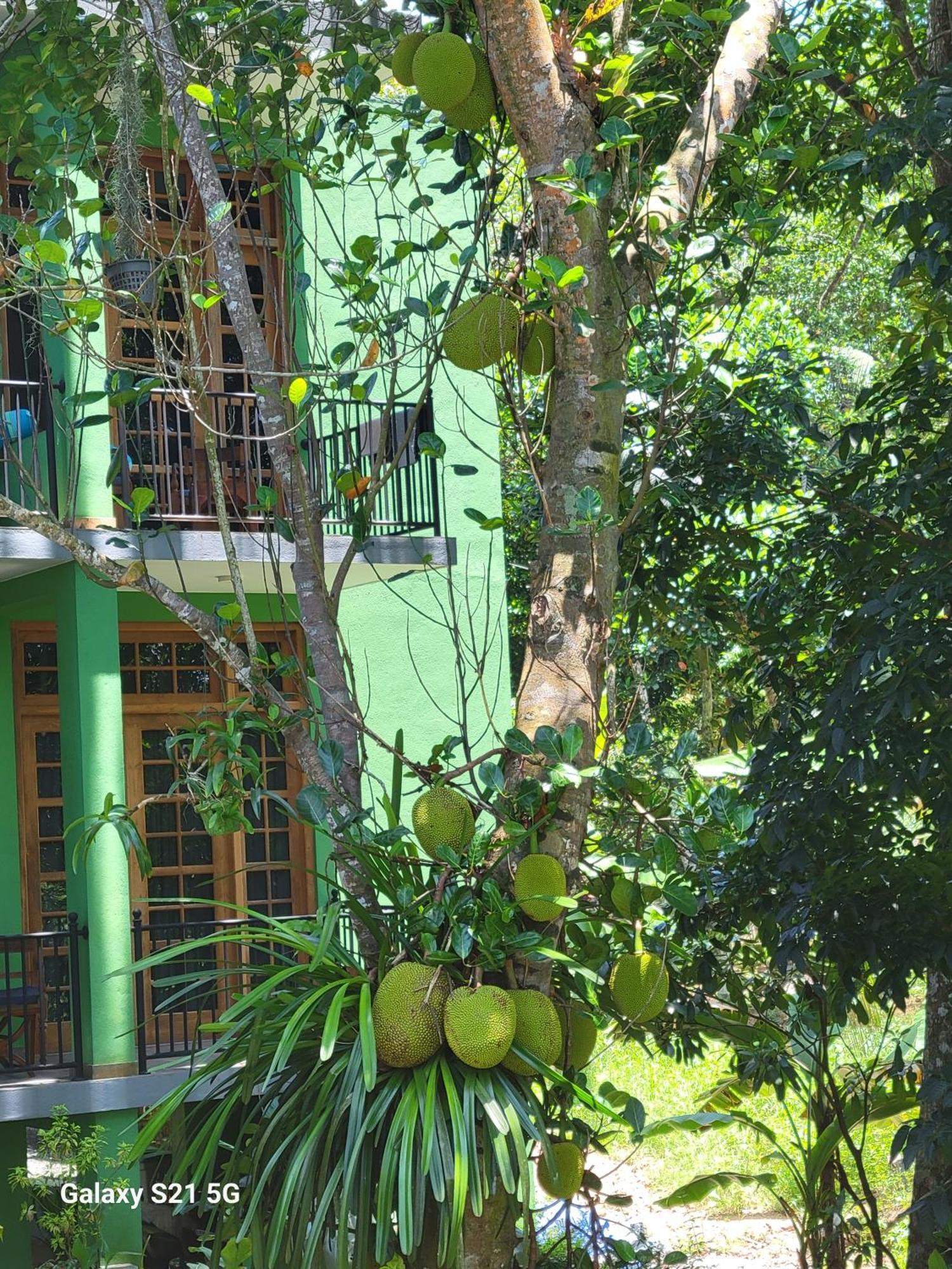 Barefoot Bungalow Hikka Hikkaduwa Εξωτερικό φωτογραφία