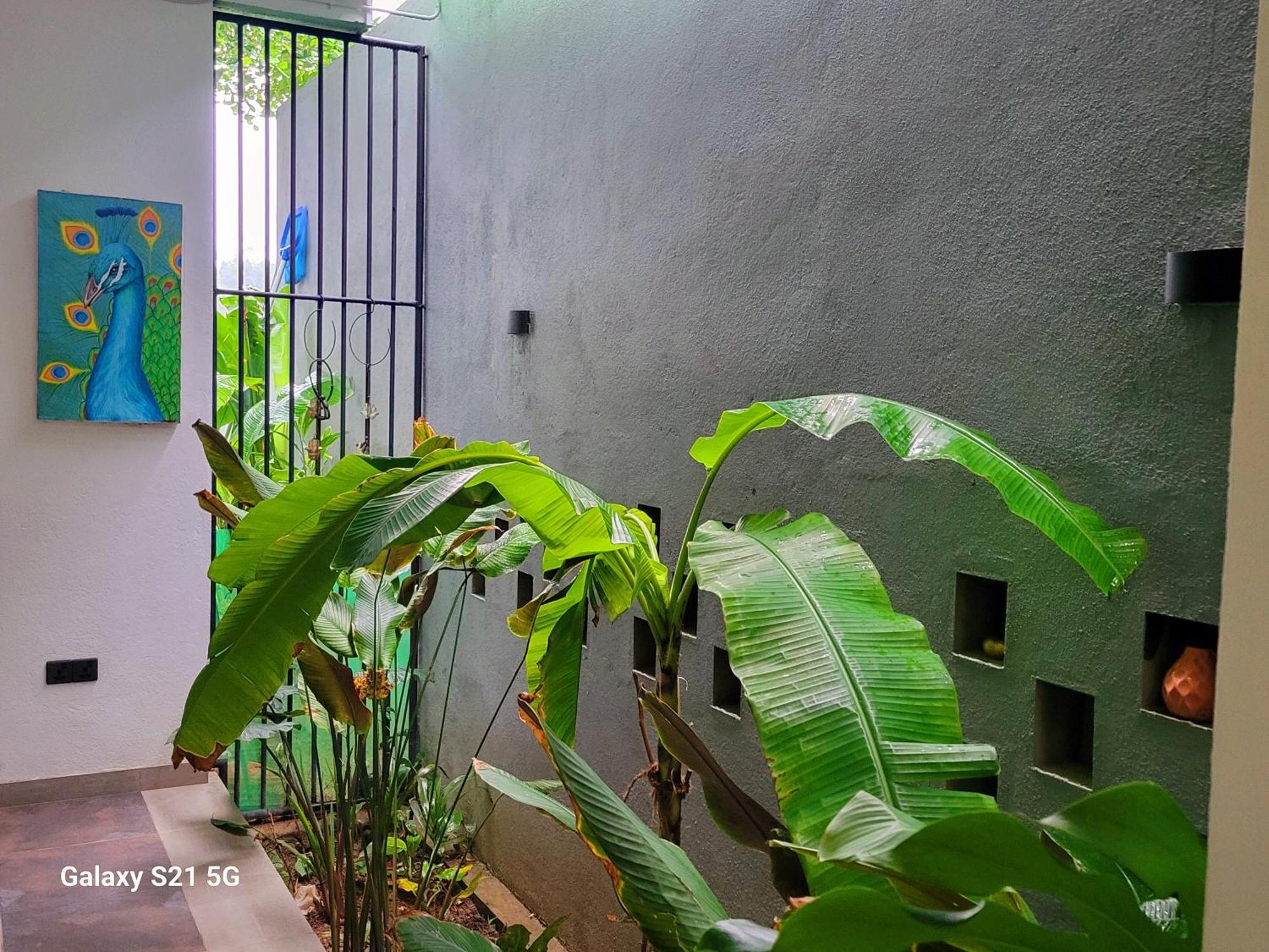 Barefoot Bungalow Hikka Hikkaduwa Εξωτερικό φωτογραφία
